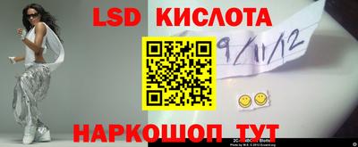прущие грибы Новозыбков
