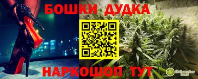 стаф Новокубанск
