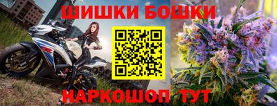 стаф Новокубанск