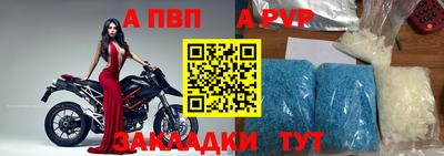 прущие грибы Новозыбков