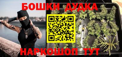 прущие грибы Новозыбков