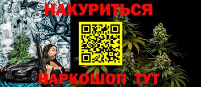 прущие грибы Новозыбков