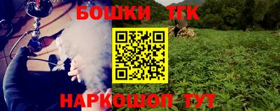 стаф Новокубанск