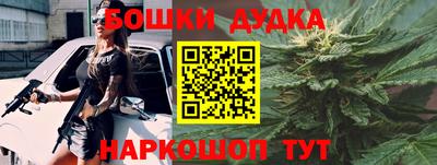 прущие грибы Новозыбков