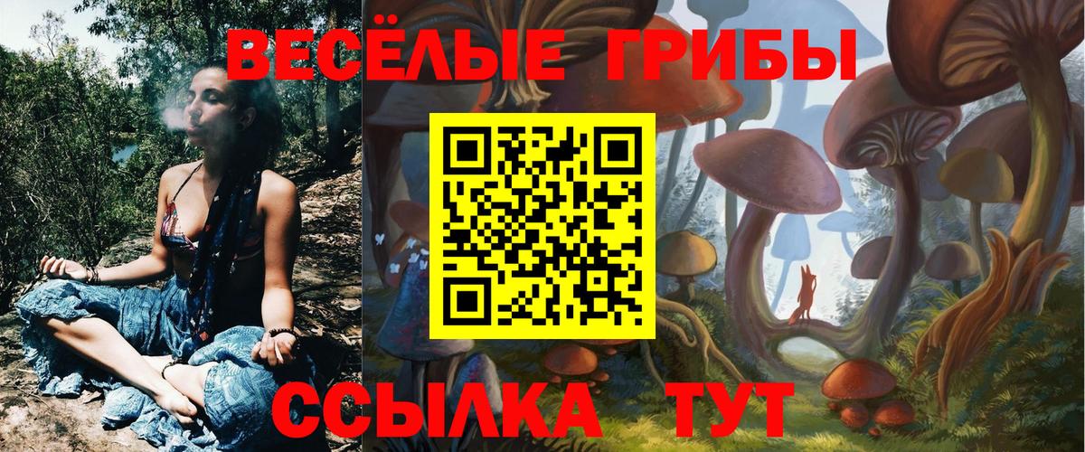 Псилоцибиновые грибы Cubensis  Вход с VPN  Псилоцибиновые грибы мухоморы  Северобайкальск 