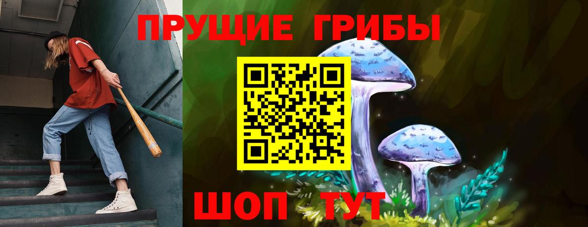 Псилоцибиновые грибы GOLDEN TEACHER Северобайкальск
